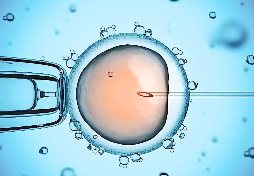 试管婴儿胚胎移植会不会痛！胚胎移植后要注意什么？